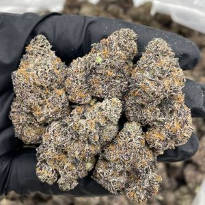 super dope mega z, super dope mega z blue, super dope infused pre roll, super dope mega z blue, super dope mega z infused prerolls, Cherry Popperz, Mega z blue, super dope mega z blue live rosin, super dope live rosin, maga z blue live rosin, mega z blue diamonds,super dope party popperz, super dope, super dope weed, super dope flower, super dope thc, super dope pack, super dope mega z red, super dope diamonds, super dope live rosin, super dope wax, super dope live rosins, superdope live rosin, cherry popperz live rosin, superdope cherry popperz, super dope cherry popperz, plum popperz, super dope plum popperz, superdope plum popperz, super dope prerolls, superdope prerolls, superdope 2g preroll, super dope preroll 2g, superdope cherry popperz, super dope cherry popperz, superdope prerolls, superdope preroll cherry popperz, super dope cherry popperz, super dope infused prerolls, superdope infused prerolls, super dope infused preroll, superdope preroll, super dope disposable, superdope disposable, super dope dispo, super dope disposable vape, super dope disposable 1g, superdope disposable 1g, super dope 1g disposable, super dope disposable 1g, superdope 1g disposable, super dope vape, super dope live rosin diamonds, super dope live rosin, super dope diamonds, superdope live rosin, superdope live rosin diamonds, superdope diamonds, super dope live diamonds,super dope mega z, super dope mega z blue, super dope infused pre roll, super dope mega z blue, super dope mega z infused prerolls, Cherry Popperz, Mega z blue, super dope mega z blue live rosin, super dope live rosin, maga z blue live rosin, mega z blue diamonds,super dope party popperz, super dope, super dope weed, super dope flower, super dope thc, super dope pack, super dope mega z red, super dope diamonds, super dope live rosin, super dope wax, super dope live rosins, superdope live rosin, cherry popperz live rosin, superdope cherry popperz, super dope cherry popperz, plum popperz, super dope plum popperz, superdope plum popperz, super dope prerolls, superdope prerolls, superdope 2g preroll, super dope preroll 2g, superdope cherry popperz, super dope cherry popperz, superdope prerolls, superdope preroll cherry popperz, super dope cherry popperz, super dope infused prerolls, superdope infused prerolls, super dope infused preroll, superdope preroll, super dope disposable, superdope disposable, super dope dispo, super dope disposable vape, super dope disposable 1g, superdope disposable 1g, super dope 1g disposable, super dope disposable 1g, superdope 1g disposable, super dope vape, super dope live rosin diamonds, super dope live rosin, super dope diamonds, superdope live rosin, superdope live rosin diamonds, superdope diamonds, super dope live diamonds