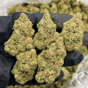 super dope mega z, super dope mega z blue, super dope infused pre roll, super dope mega z blue, super dope mega z infused prerolls, Cherry Popperz, Mega z blue, super dope mega z blue live rosin, super dope live rosin, maga z blue live rosin, mega z blue diamonds,super dope party popperz, super dope, super dope weed, super dope flower, super dope thc, super dope pack, super dope mega z red, super dope diamonds, super dope live rosin, super dope wax, super dope live rosins, superdope live rosin, cherry popperz live rosin, superdope cherry popperz, super dope cherry popperz, plum popperz, super dope plum popperz, superdope plum popperz, super dope prerolls, superdope prerolls, superdope 2g preroll, super dope preroll 2g, superdope cherry popperz, super dope cherry popperz, superdope prerolls, superdope preroll cherry popperz, super dope cherry popperz, super dope infused prerolls, superdope infused prerolls, super dope infused preroll, superdope preroll, super dope disposable, superdope disposable, super dope dispo, super dope disposable vape, super dope disposable 1g, superdope disposable 1g, super dope 1g disposable, super dope disposable 1g, superdope 1g disposable, super dope vape, super dope live rosin diamonds, super dope live rosin, super dope diamonds, superdope live rosin, superdope live rosin diamonds, superdope diamonds, super dope live diamonds,super dope mega z, super dope mega z blue, super dope infused pre roll, super dope mega z blue, super dope mega z infused prerolls, Cherry Popperz, Mega z blue, super dope mega z blue live rosin, super dope live rosin, maga z blue live rosin, mega z blue diamonds,super dope party popperz, super dope, super dope weed, super dope flower, super dope thc, super dope pack, super dope mega z red, super dope diamonds, super dope live rosin, super dope wax, super dope live rosins, superdope live rosin, cherry popperz live rosin, superdope cherry popperz, super dope cherry popperz, plum popperz, super dope plum popperz, superdope plum popperz, super dope prerolls, superdope prerolls, superdope 2g preroll, super dope preroll 2g, superdope cherry popperz, super dope cherry popperz, superdope prerolls, superdope preroll cherry popperz, super dope cherry popperz, super dope infused prerolls, superdope infused prerolls, super dope infused preroll, superdope preroll, super dope disposable, superdope disposable, super dope dispo, super dope disposable vape, super dope disposable 1g, superdope disposable 1g, super dope 1g disposable, super dope disposable 1g, superdope 1g disposable, super dope vape, super dope live rosin diamonds, super dope live rosin, super dope diamonds, superdope live rosin, superdope live rosin diamonds, superdope diamonds, super dope live diamonds