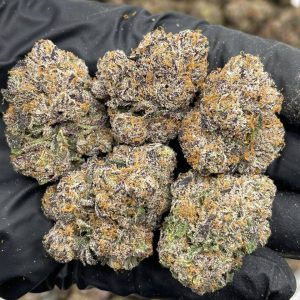 super dope mega z, super dope mega z blue, super dope infused pre roll, super dope mega z blue, super dope mega z infused prerolls, Cherry Popperz, Mega z blue, super dope mega z blue live rosin, super dope live rosin, maga z blue live rosin, mega z blue diamonds,super dope party popperz, super dope, super dope weed, super dope flower, super dope thc, super dope pack, super dope mega z red, super dope diamonds, super dope live rosin, super dope wax, super dope live rosins, superdope live rosin, cherry popperz live rosin, superdope cherry popperz, super dope cherry popperz, plum popperz, super dope plum popperz, superdope plum popperz, super dope prerolls, superdope prerolls, superdope 2g preroll, super dope preroll 2g, superdope cherry popperz, super dope cherry popperz, superdope prerolls, superdope preroll cherry popperz, super dope cherry popperz, super dope infused prerolls, superdope infused prerolls, super dope infused preroll, superdope preroll, super dope disposable, superdope disposable, super dope dispo, super dope disposable vape, super dope disposable 1g, superdope disposable 1g, super dope 1g disposable, super dope disposable 1g, superdope 1g disposable, super dope vape, super dope live rosin diamonds, super dope live rosin, super dope diamonds, superdope live rosin, superdope live rosin diamonds, superdope diamonds, super dope live diamonds,super dope mega z, super dope mega z blue, super dope infused pre roll, super dope mega z blue, super dope mega z infused prerolls, Cherry Popperz, Mega z blue, super dope mega z blue live rosin, super dope live rosin, maga z blue live rosin, mega z blue diamonds,super dope party popperz, super dope, super dope weed, super dope flower, super dope thc, super dope pack, super dope mega z red, super dope diamonds, super dope live rosin, super dope wax, super dope live rosins, superdope live rosin, cherry popperz live rosin, superdope cherry popperz, super dope cherry popperz, plum popperz, super dope plum popperz, superdope plum popperz, super dope prerolls, superdope prerolls, superdope 2g preroll, super dope preroll 2g, superdope cherry popperz, super dope cherry popperz, superdope prerolls, superdope preroll cherry popperz, super dope cherry popperz, super dope infused prerolls, superdope infused prerolls, super dope infused preroll, superdope preroll, super dope disposable, superdope disposable, super dope dispo, super dope disposable vape, super dope disposable 1g, superdope disposable 1g, super dope 1g disposable, super dope disposable 1g, superdope 1g disposable, super dope vape, super dope live rosin diamonds, super dope live rosin, super dope diamonds, superdope live rosin, superdope live rosin diamonds, superdope diamonds, super dope live diamonds