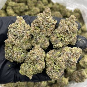 super dope mega z, super dope mega z blue, super dope infused pre roll, super dope mega z blue, super dope mega z infused prerolls, Cherry Popperz, Mega z blue, super dope mega z blue live rosin, super dope live rosin, maga z blue live rosin, mega z blue diamonds,super dope party popperz, super dope, super dope weed, super dope flower, super dope thc, super dope pack, super dope mega z red, super dope diamonds, super dope live rosin, super dope wax, super dope live rosins, superdope live rosin, cherry popperz live rosin, superdope cherry popperz, super dope cherry popperz, plum popperz, super dope plum popperz, superdope plum popperz, super dope prerolls, superdope prerolls, superdope 2g preroll, super dope preroll 2g, superdope cherry popperz, super dope cherry popperz, superdope prerolls, superdope preroll cherry popperz, super dope cherry popperz, super dope infused prerolls, superdope infused prerolls, super dope infused preroll, superdope preroll, super dope disposable, superdope disposable, super dope dispo, super dope disposable vape, super dope disposable 1g, superdope disposable 1g, super dope 1g disposable, super dope disposable 1g, superdope 1g disposable, super dope vape, super dope live rosin diamonds, super dope live rosin, super dope diamonds, superdope live rosin, superdope live rosin diamonds, superdope diamonds, super dope live diamonds,super dope mega z, super dope mega z blue, super dope infused pre roll, super dope mega z blue, super dope mega z infused prerolls, Cherry Popperz, Mega z blue, super dope mega z blue live rosin, super dope live rosin, maga z blue live rosin, mega z blue diamonds,super dope party popperz, super dope, super dope weed, super dope flower, super dope thc, super dope pack, super dope mega z red, super dope diamonds, super dope live rosin, super dope wax, super dope live rosins, superdope live rosin, cherry popperz live rosin, superdope cherry popperz, super dope cherry popperz, plum popperz, super dope plum popperz, superdope plum popperz, super dope prerolls, superdope prerolls, superdope 2g preroll, super dope preroll 2g, superdope cherry popperz, super dope cherry popperz, superdope prerolls, superdope preroll cherry popperz, super dope cherry popperz, super dope infused prerolls, superdope infused prerolls, super dope infused preroll, superdope preroll, super dope disposable, superdope disposable, super dope dispo, super dope disposable vape, super dope disposable 1g, superdope disposable 1g, super dope 1g disposable, super dope disposable 1g, superdope 1g disposable, super dope vape, super dope live rosin diamonds, super dope live rosin, super dope diamonds, superdope live rosin, superdope live rosin diamonds, superdope diamonds, super dope live diamonds